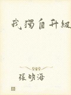 我独自升级小说