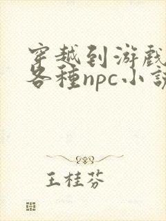 穿越到游戏里和各种npc小说