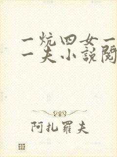 一炕四女一共侍一夫小说阅读