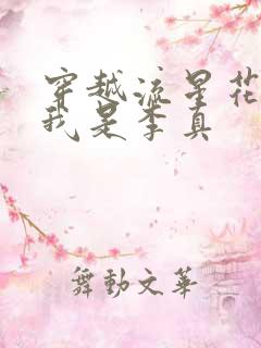 穿越流星花园之我是李真