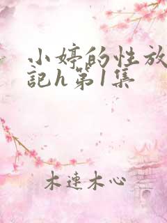 小婷的性放荡日记h第1集