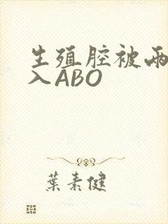 生殖腔被两根进入ABO