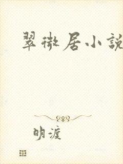 翠微居小说