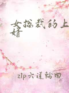 女总裁的上门女婿