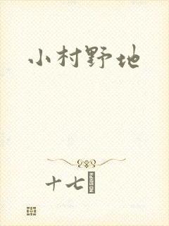 小村野地