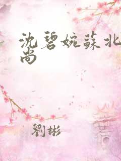 沈碧婉苏北宸和尚