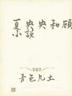 夏央央和顾祁琛小说