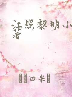 江照黎明小说原著