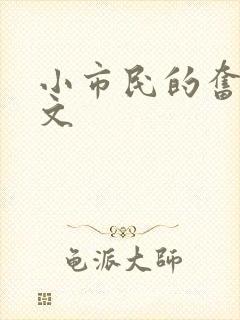 小市民的奋斗燃文