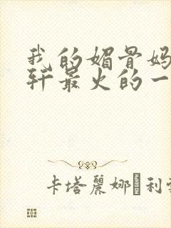 我的媚骨妈妈林轩最火的一句