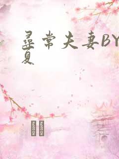 寻常夫妻BY写夏