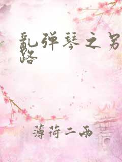 乱弹琴之另一条路