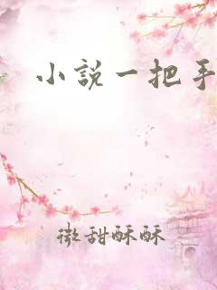 小说一把手