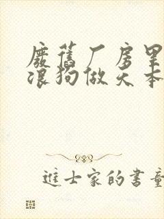 废旧厂房里和流浪狗做天本