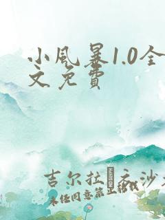 小风暴1.0全文免费