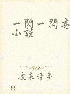 一闪一闪亮星星小说