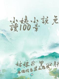 小姨小说免费阅读100章