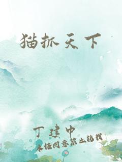 猫抓天下