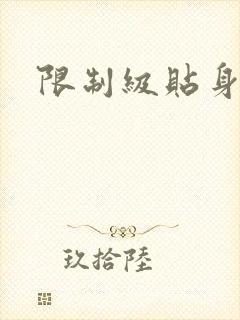 限制级贴身高手