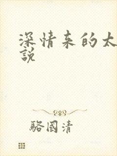 深情来的太迟小说