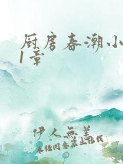 厨房春潮小说第1章