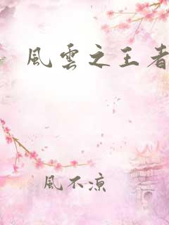 风云之王者人生