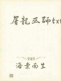 屠龙巫师txt