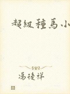超级种马小说