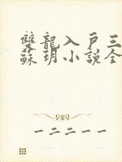 双龙入户三人行苏玥小说全文阅读