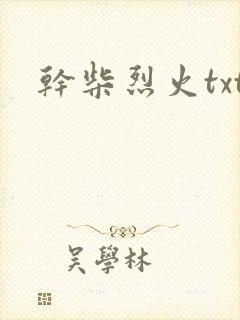 干柴烈火txt