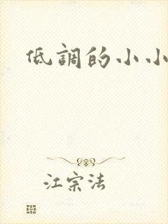 低调的小小宫女