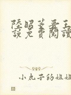 陆昭菱晋王的小说免费阅读