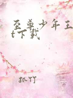 至尊少年王txt下载