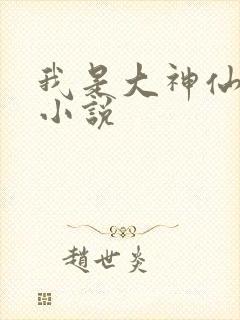 我是大神仙时江小说