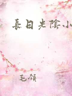 长日光阴小说