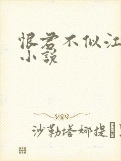 恨君不似江楼月小说