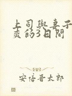 上司与妻子干到爽的3日间