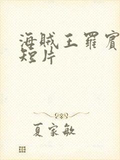 海贼王罗宾被h短片