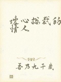 坏心总裁的女佣情人