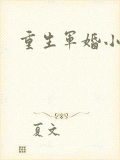 重生军婚小媳妇