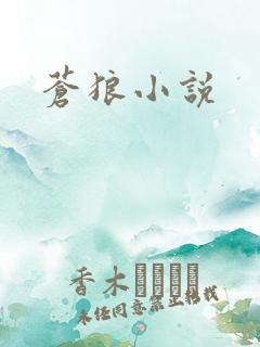 苍狼小说