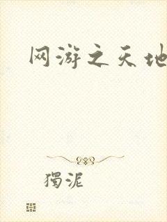 网游之天地下载