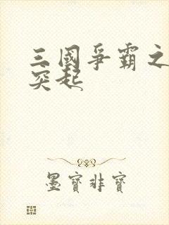 三国争霸之异军突起