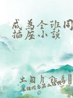 成为全班同学的插座小说