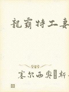 龙霸特工妻