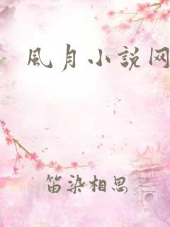 风月小说网