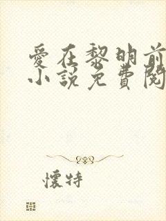 爱在黎明前降落小说免费阅读