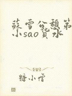 苏雪公憩第一章小sao货水