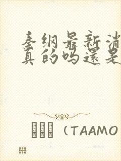 秦纲最新消息是真的吗还是假的