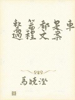 整篇都是车的肉过程文案